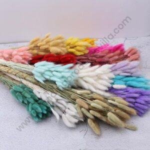 TPV® Natural Dried Flowers Bouquets Rabbit Tail Grass DIY Stems Decor Beige