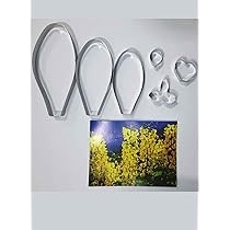 TPV® 6 Pcs Stainless Steel Viminaria Juncea Petal Cutter Set Bakeware Mould Biscuit Mould Set Sugar Arts Fondant Tools